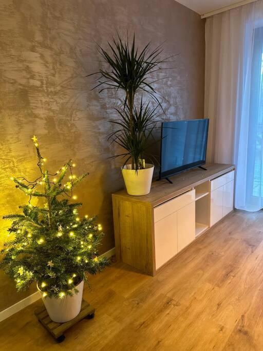 Apartman Betula-Apartman V Srdci Vysokych Tatier Vysoké Tatry Exteriér fotografie